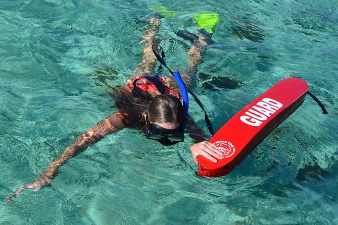 2-Hours Dolphin Excursion in Mauritius - Swimming With Wild Dolphins