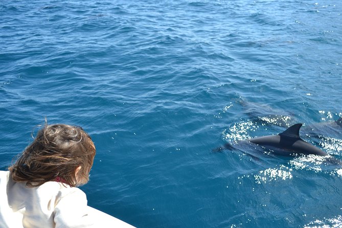2-Hours Dolphin Excursion in Mauritius - Speedboat Views Between Black River and Tamarin Bay