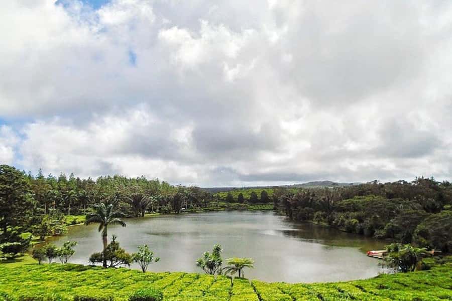 3-Day Private Tour of Mauritius with Optional Dolphin Swim - Driver service and the pace of the days