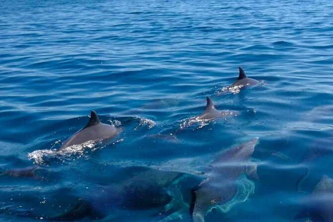 5 island tour all inclusive with Ile aux cerfs and snorkeling - Going inside the Lighthouse Island tower