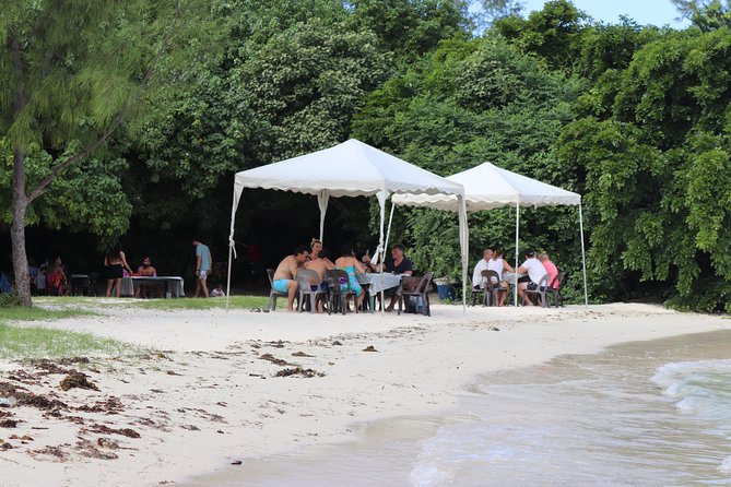 5 island tour all inclusive with Ile aux cerfs and snorkeling - Snorkeling near Blue Bay and the glass-bottom boat