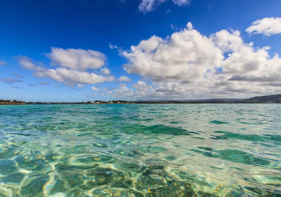 5 Islands Boat Trip, Snorkeling and Lunch on Ile aux Cerfs - Ile aux Aigrettes and Mauritius’s native wildlife