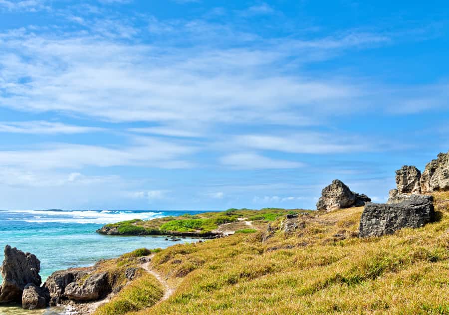 5 Islands Boat Trip, Snorkeling and Lunch on Ile aux Cerfs - Lunch, rum, and the social side of the boat