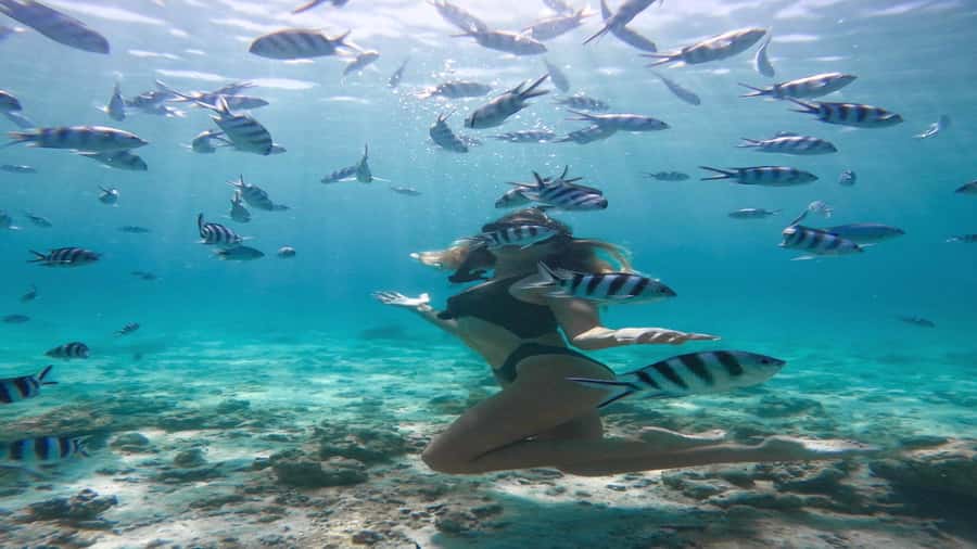 5 Islands Private Speedboat w/ Snorkeling + Lunch & Drinks - Ile aux Phares and Ile de la Passe
