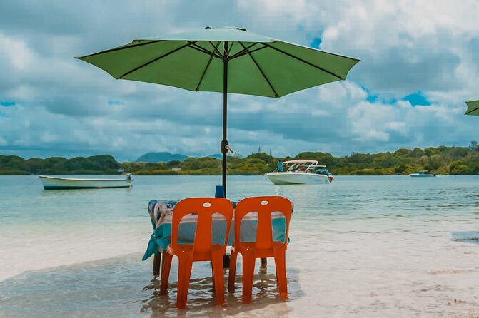 5 Islands Speedboat Cruise incl. Snorkeling in Blue Bay + Lunch at Ile aux Cerfs - Blue Bay Marine Park for snorkeling
