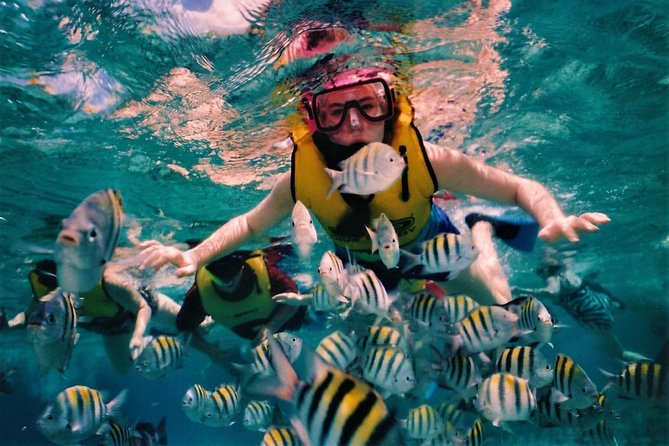5 Islands Speedboat Cruise incl. Snorkeling in Blue Bay + Lunch at Ile aux Cerfs - Ile aux Aigrettes and the food break