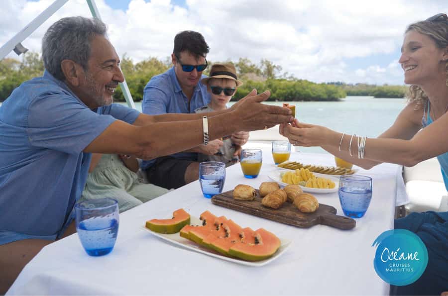 5 Islands Tour: New OCÉANE Private Pontoon Boat cruise - Ile aux Cerfs and time to wander