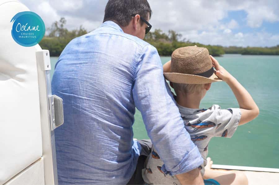 5 Islands Tour: New OCÉANE Private Pontoon Boat cruise - Grand River South East Waterfall from the water