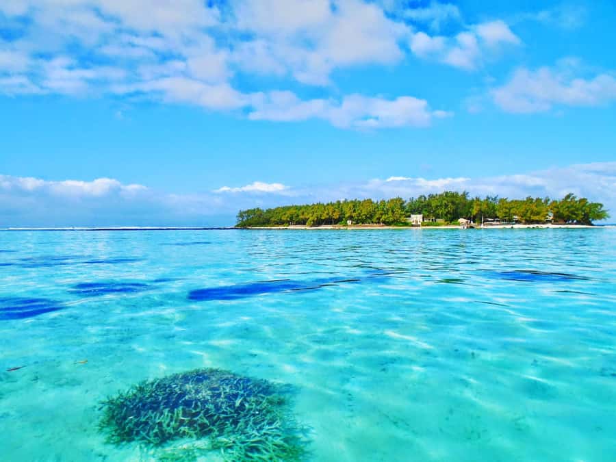 5 Islands Trip & Ile aux Cerfs inc Lunch, Drinks & Transport - Ile aux Aigrettes, Ile de la Passe, and Ile au Phare