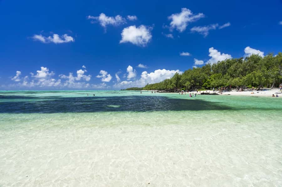 5 Islands Trip & Ile aux Cerfs inc Lunch, Drinks & Transport - Ninety minutes on Ile aux Cerfs