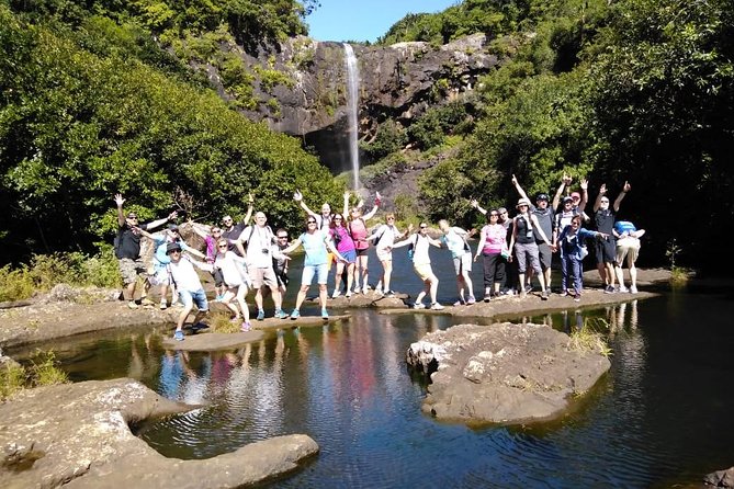 7 Cascades Half Day - Forest, basalt rock, and the first waterfalls