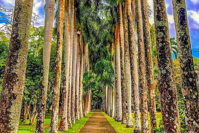 8-Hour Private City and North Tour in Mauritius - Grand Baie, beaches, boats, and a lively finish