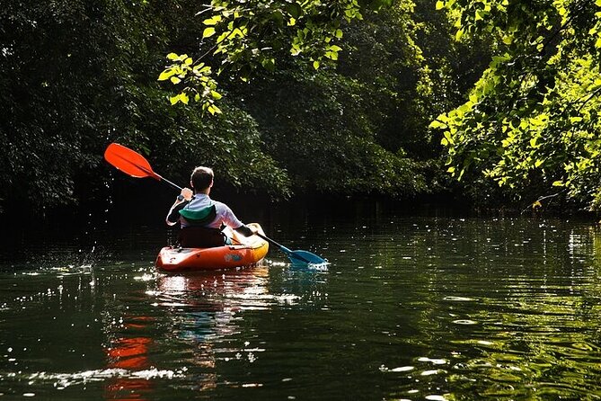Afternoon Guided Kayak Activity on the Tamarin River - Watching for monkeys, birds, bats, and crabs