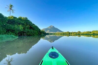 Afternoon Guided Kayak Activity on the Tamarin River
