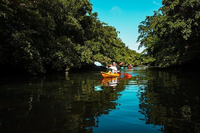 Afternoon Guided Kayak Activity on the Tamarin River - Who should book this river outing?