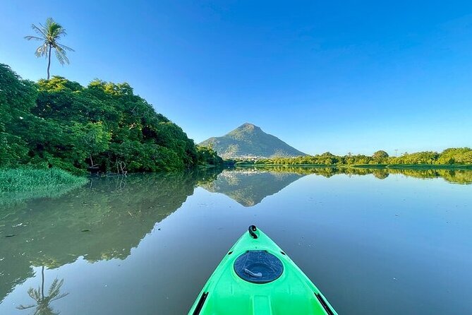 Afternoon Guided Kayak Activity on the Tamarin River - Paddling upstream at an unhurried pace