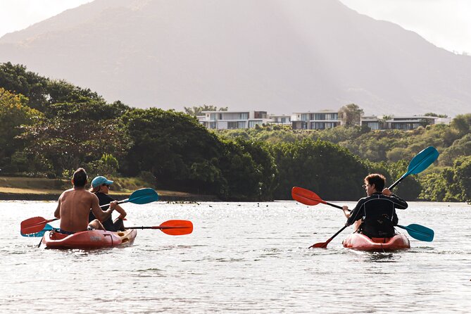 Afternoon Guided Kayak Tour on the Tamarin River - Meeting at Veranda Tamarin at 1:30 pm