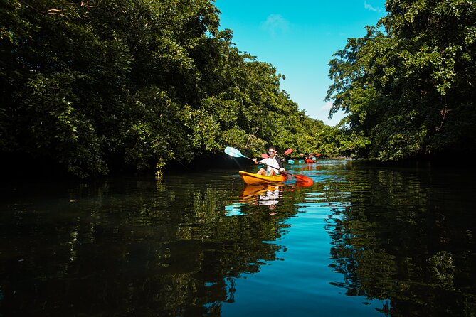 Afternoon Guided Kayak Tour on the Tamarin River - Paddling the calm water with a local guide