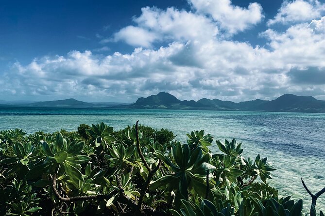 An Excursion of the South East Lagoon of Mauritius - Key points at a glance