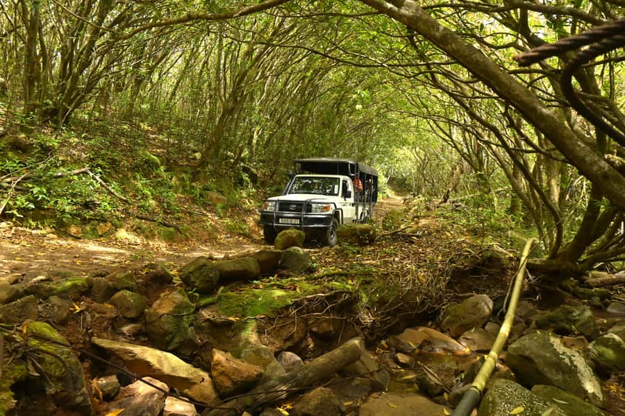 Animal & Nature Parks, Private Tour - Who will enjoy this private day most