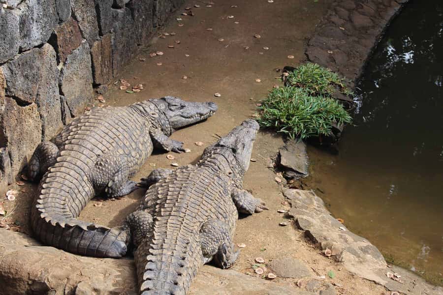 Animal & Nature Parks, Private Tour - Practical timing advice for a smoother day