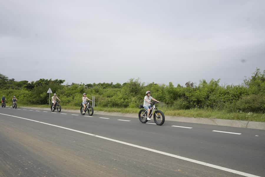 Authentic North East Coast E-bike Guided Tour - Grand Gaube’s fish market and local food