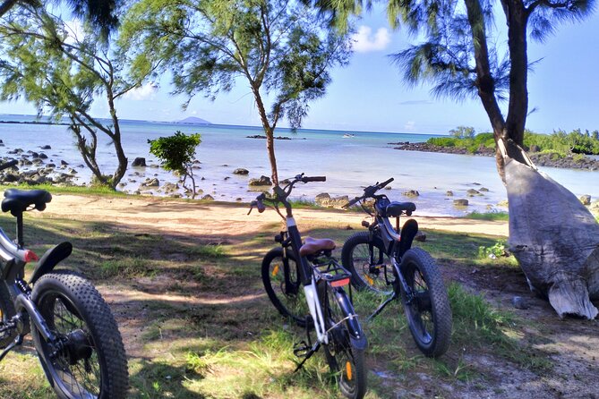 Authentic North East Coast E-bikes Guided Tour - Grand Gaube: three hours among beaches, mangroves, and village life
