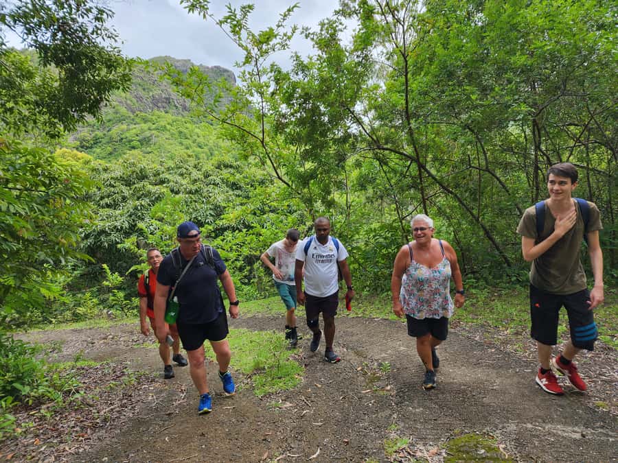 Black River: Guided Hike in the Black River Gorges Valley - Entering the Black River Gorges