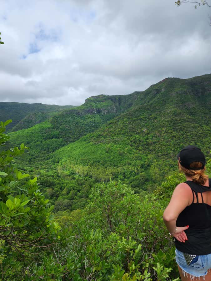 Black River: Guided Hike in the Black River Gorges Valley - The climbing section and what it means