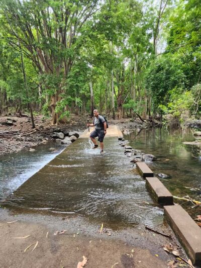 Guided Hike in the Black River Gorges Valley