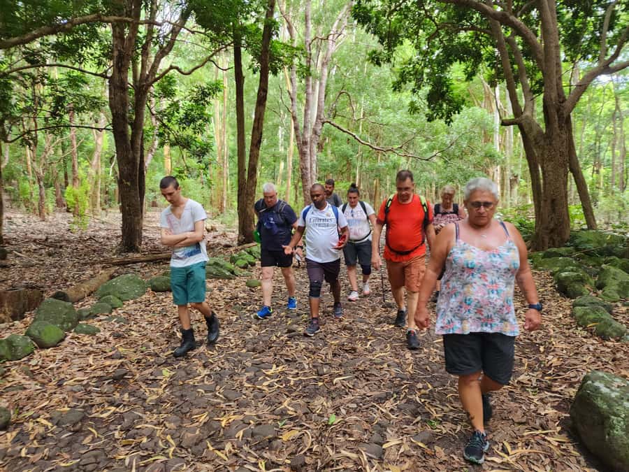 Black River: Guided Hike in the Black River Gorges Valley - Price, group size, and what you receive