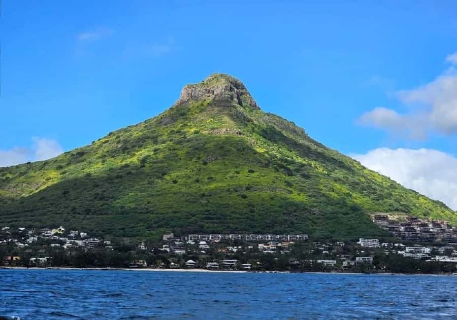 Black River: Swim with Dolphin Speed Boat Tour with lunch - Snorkeling around Crystal Rock