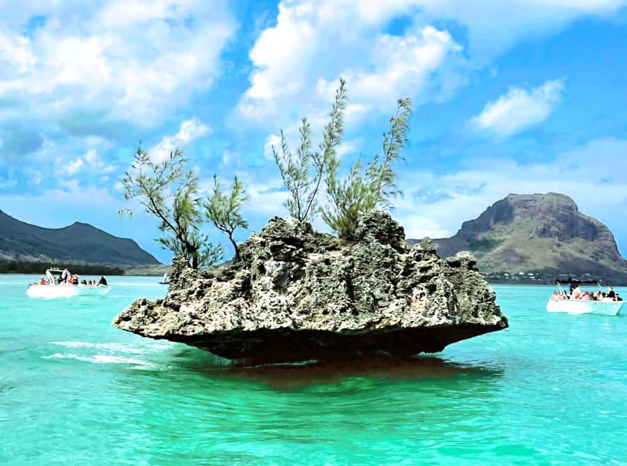 Black River: Swim with Dolphin Speed Boat Tour with lunch - The parts that may test your patience