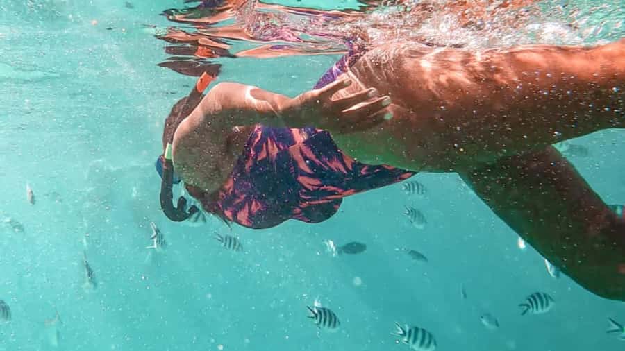 Blue Bay: Blue Bay Glass Bottom Boat Visit and Snorkeling - A short trip with a clear purpose