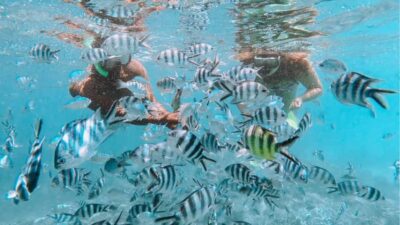 Blue Bay Glass Bottom Boat Visit and Snorkeling