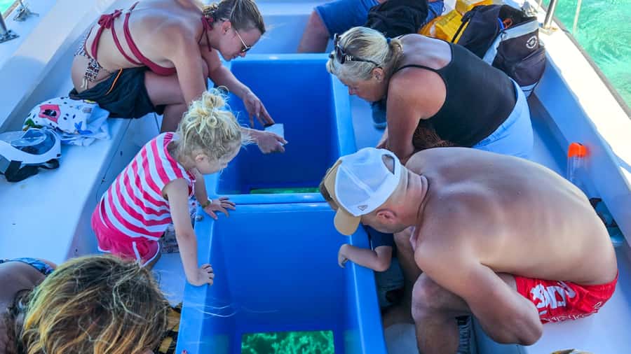 Blue Bay: Blue Bay Glass Bottom Boat Visit and Snorkeling - How the $28 price holds up