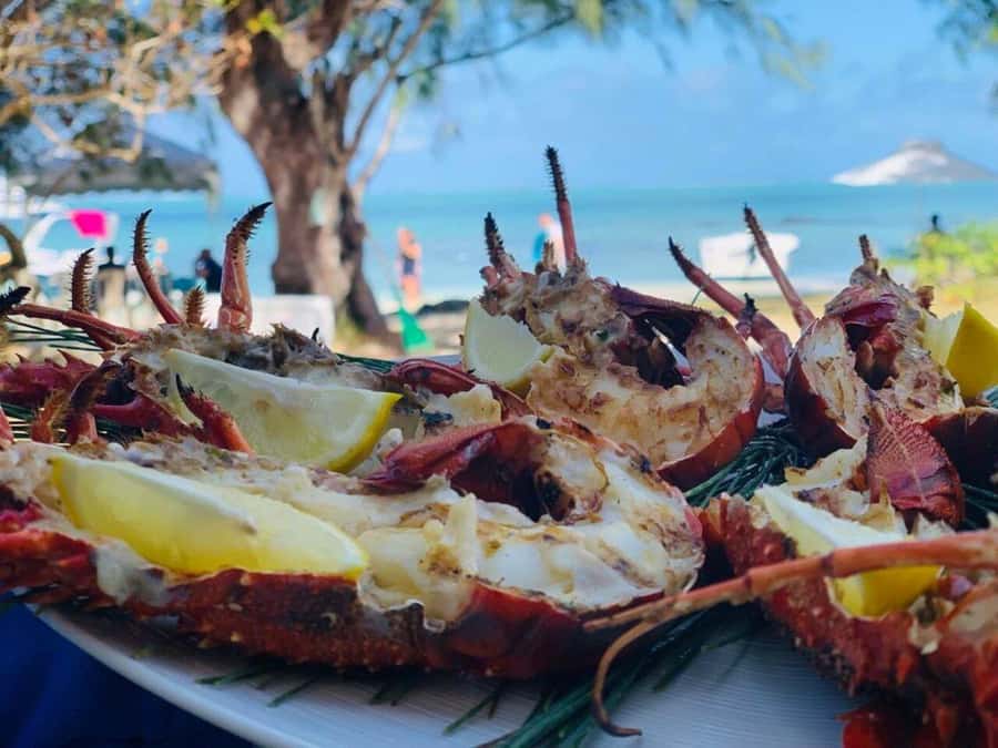 Blue bay: boat trip for ile au cerf (5 islands, barbecue) - Who should book this trip?