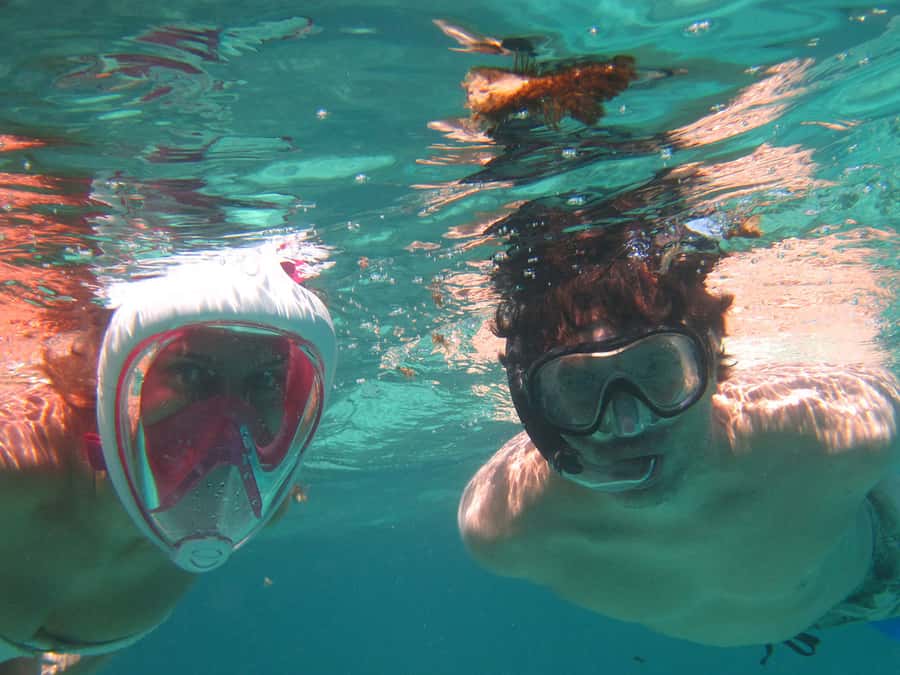 Blue Bay: Half-Day Snorkeling Trip with Creole Picnic Lunch - Snorkeling among coral, fish, and possible turtles
