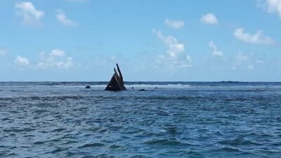 Half-Day Snorkeling Trip with Creole Picnic Lunch