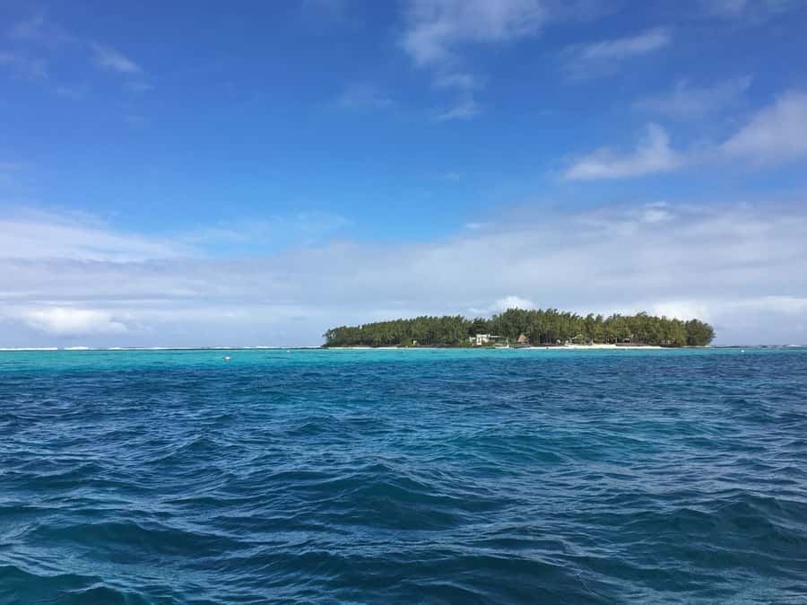 Blue Bay: Half-Day Snorkeling Trip with Creole Picnic Lunch - Is $70 good value for four hours?