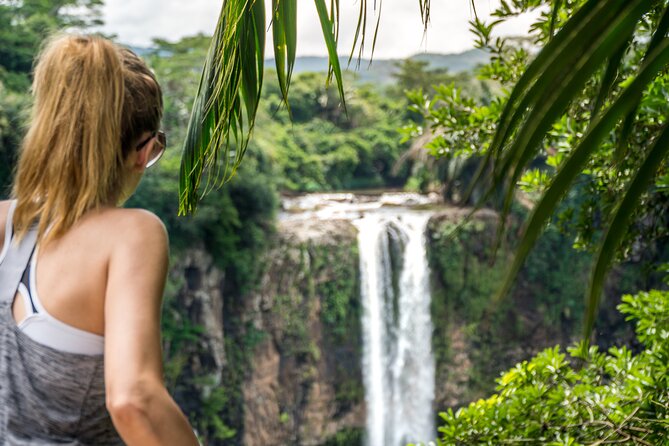 Car Hire for a Day with Driver - 8 Hours - Pamplemousses Botanical Gardens in the north