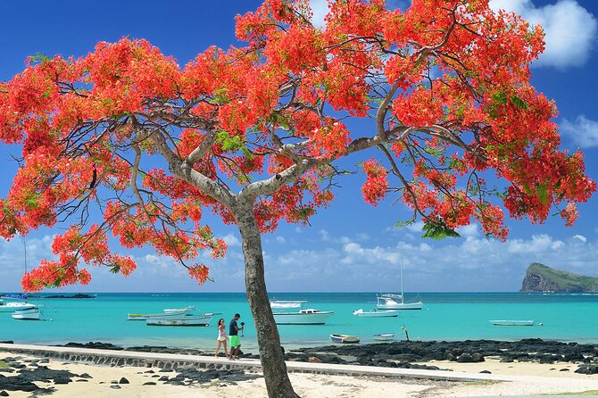 Car Hire for a Day with Driver - 8 Hours - Starting from Grand Baie at 9:00 a.m.