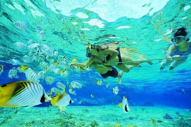 Catamaran Adventure Full Day: Ile aux cerfs,GRSE Waterfall,Snorkeling &BBQ Lunch - Three hours at Ile aux Cerfs