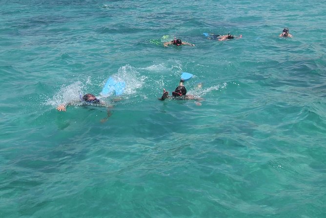 Catamaran Cruise: Isle aux Cerfs, Including BBQ Lunch, in Mauritius - Is $82 good value?