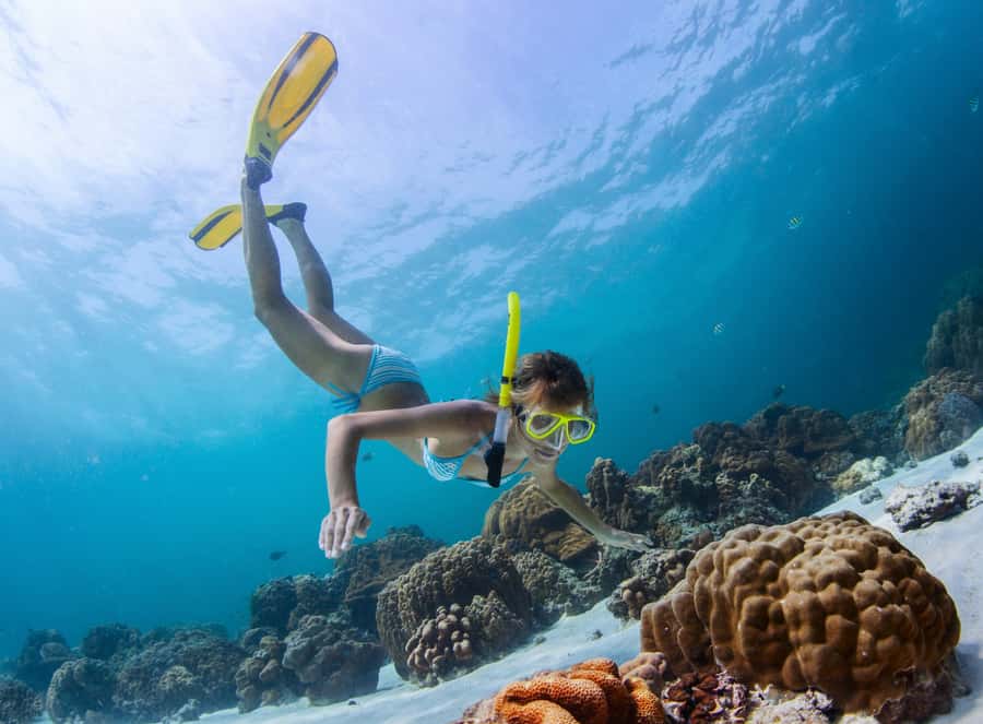 Catamaran cruise to Ile aux Cerfs from Pointe Jerome - Snorkeling in the largest lagoon