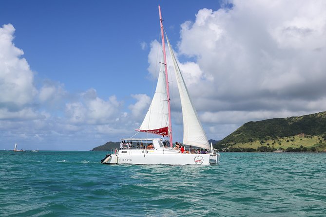Catamaran cruise to Ile aux cerfs with bbq lunch - Key points to know before you book