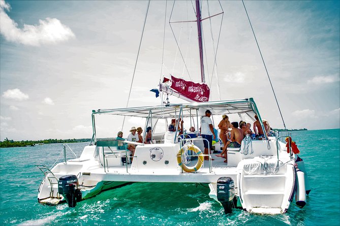 Catamaran Ile aux Cerfs, snorkeling + GRSE Waterfall, BBQ & Bar - Key points at a glance