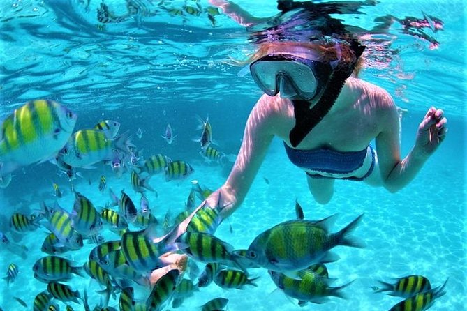 Catamaran Ile aux Cerfs, snorkeling + GRSE Waterfall, BBQ & Bar - Safety, comfort, and what to pack