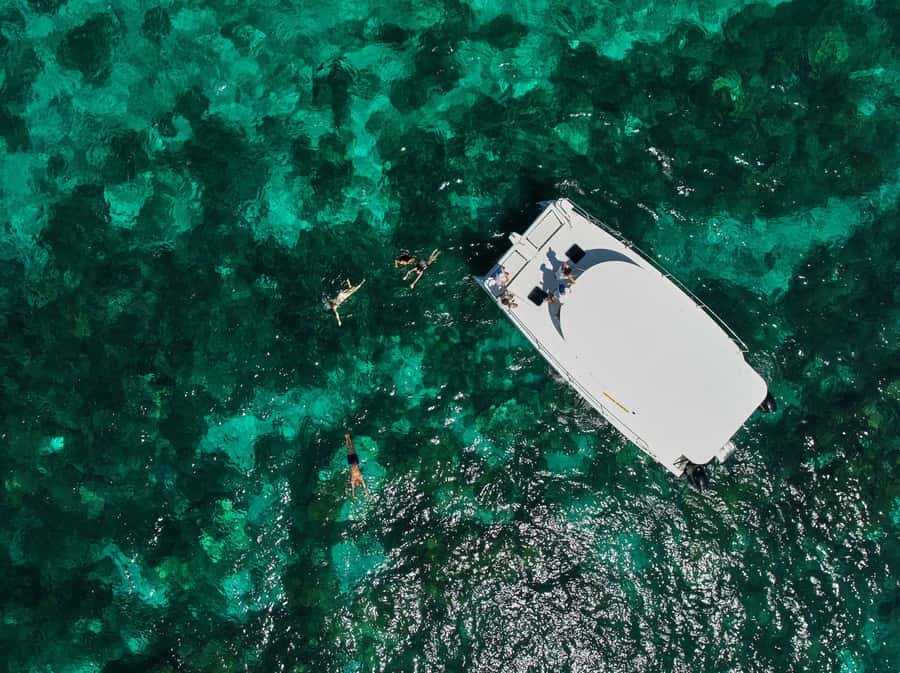 Catamaran Mauritius: South East 5 Islands Catamaran Cruises - Ile aux Aigrettes from the Water