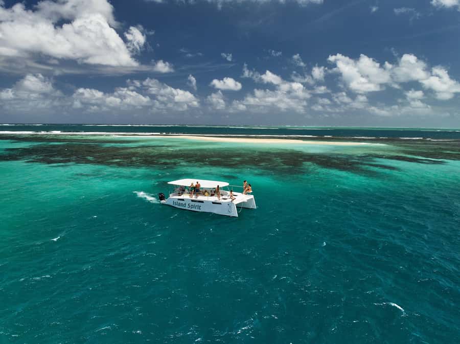Catamaran Mauritius: South East 5 Islands Catamaran Cruises - Dolphins, Tortoises, and the Limits of Wildlife Watching